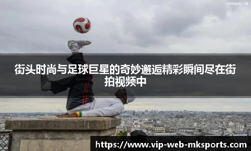 MK体育官方网站